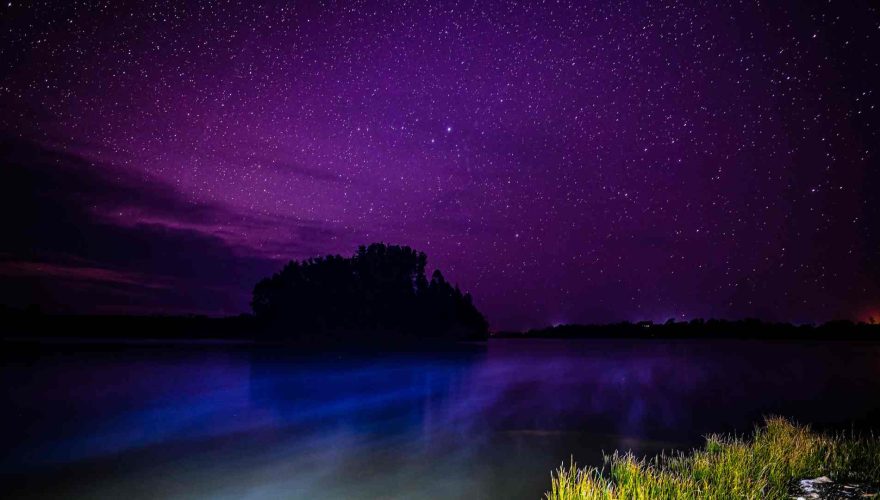 Cuándo y dónde ver la lluvia de estrellas Oriónidas 2024