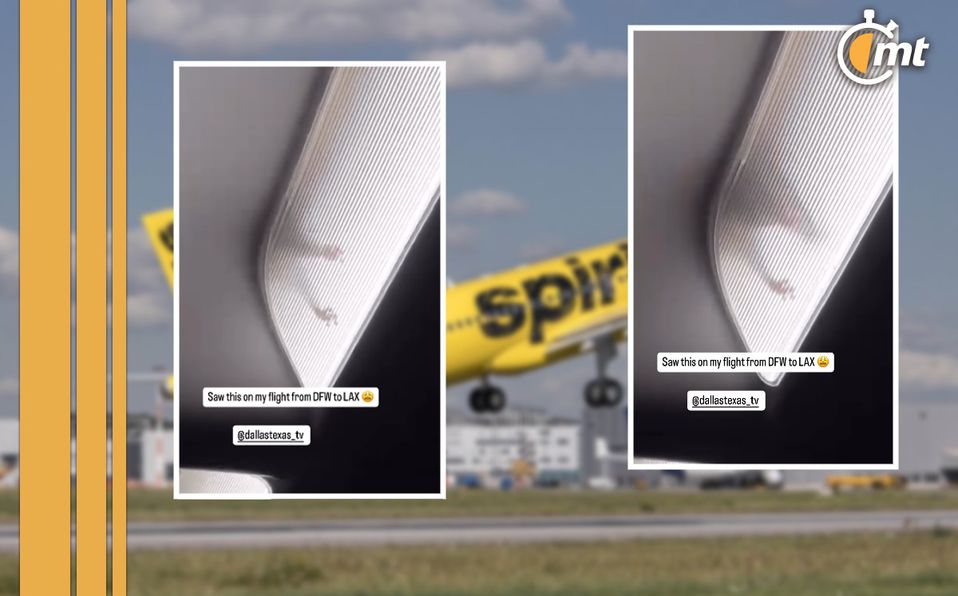 VIDEO | Rata INVADE vuelo de Spirit Airlines de 3 horas y causa sensación entre pasajeros