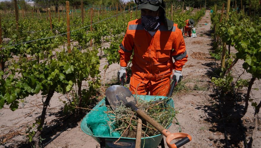 Ingenieros agrónomos de SQM Litio apoyan a agricultores locales en la preparación de sus terrenos para la siembra de verano