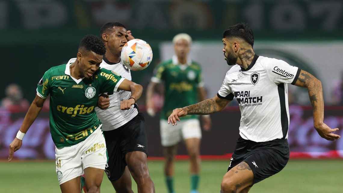 Palmeiras cresce e quase empata em chance de título com o Botafogo no Brasileirão; veja probabilidades