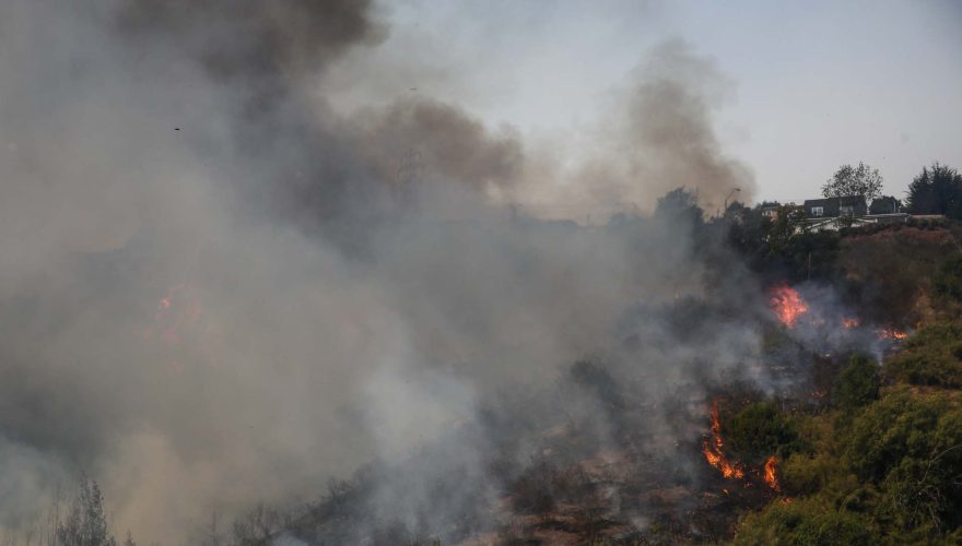 Incendio forestal: Senapred declara Alerta Roja en Hualqui y solicita evacuar sectores