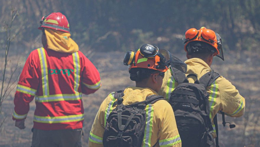 Focos simultáneos y en línea recta: los argumentos de Conaf para asegurar que incendios son intencionales