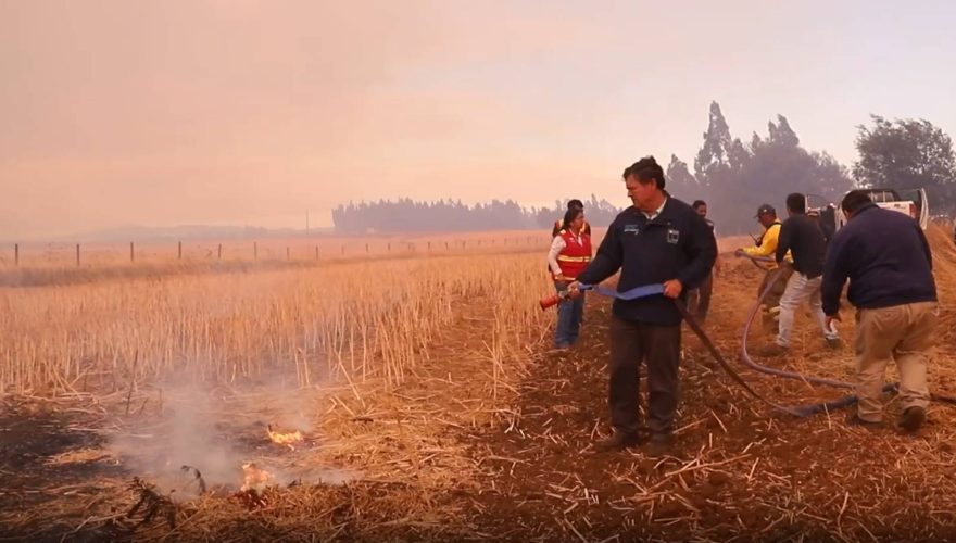 VIDEOS – Ministro de Agricultura tras críticas por registro que lo mostró apagando una fogata: “Nada de show”